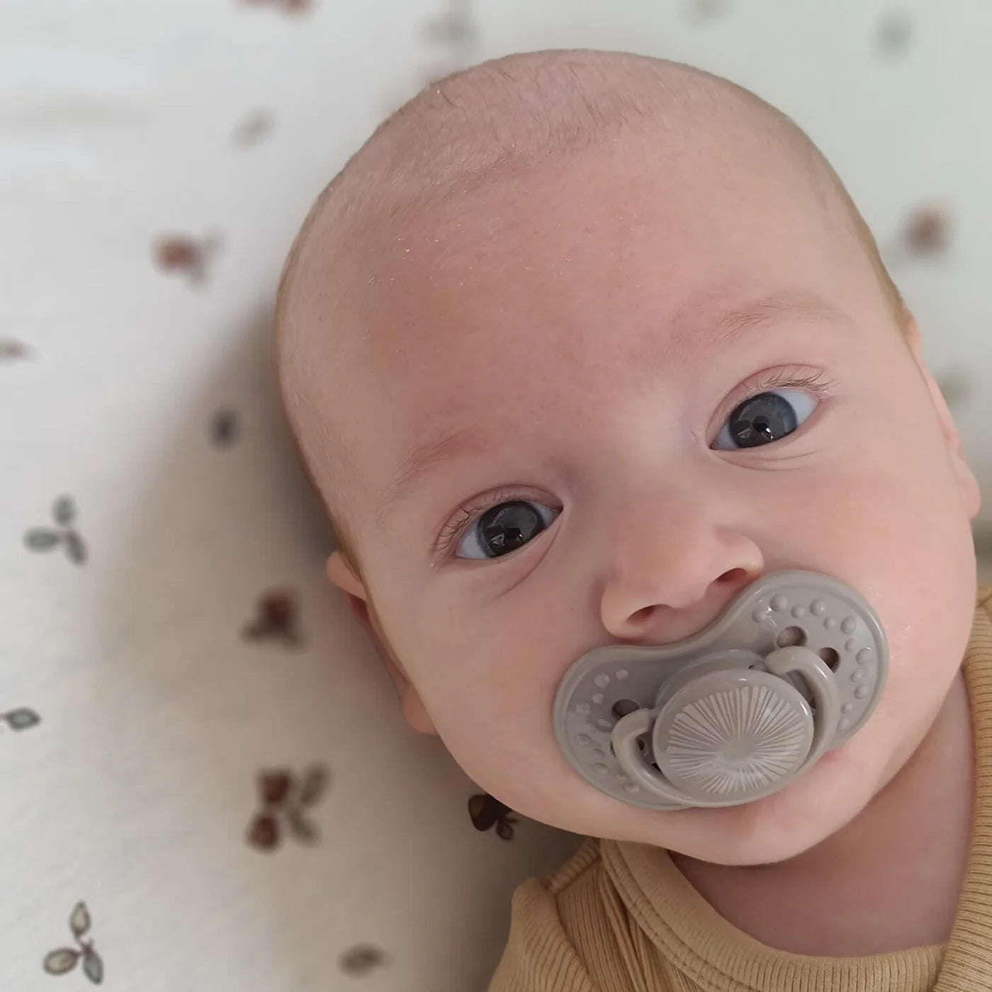 Difrax LOVI Dynamic Pacifier (0-3 months) - Harmony
